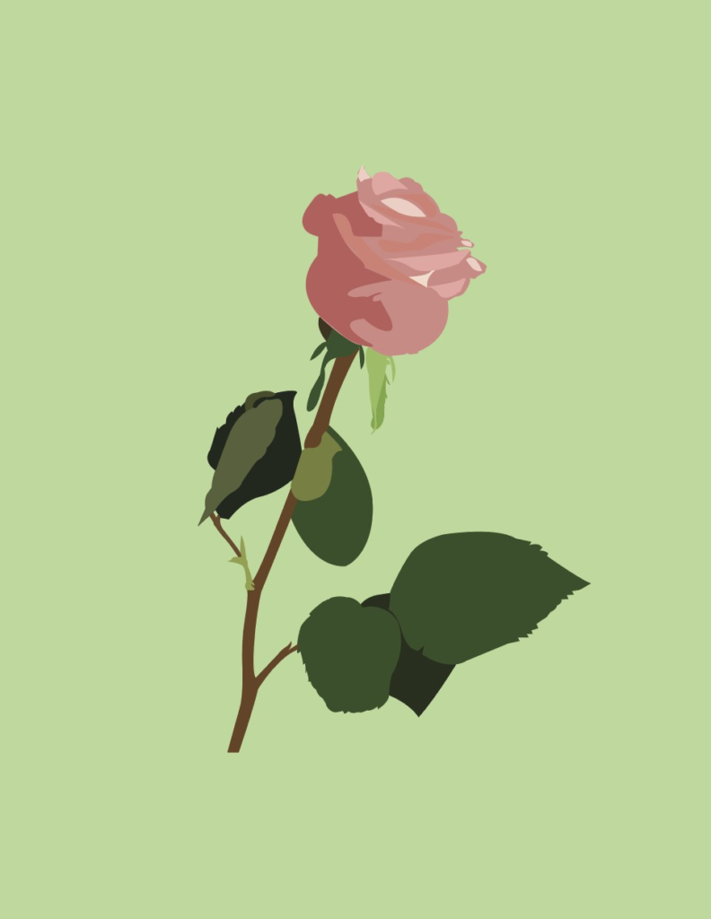 Illustrator flower project - pink rose